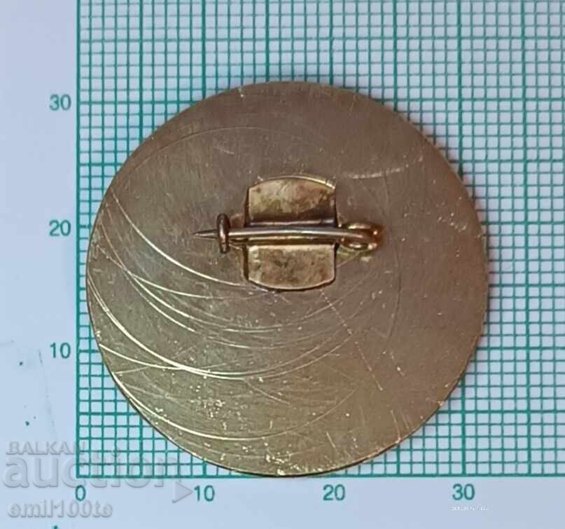 Доставка на Значка- IMA Международна минераложка асоциация Варна 1982арн Доставка на Значка- IMA Международна минераложка асоциация Варна 1982арн