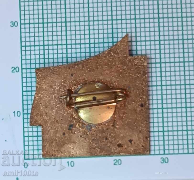 Delivery of Badge - 50 Years of October - October Revolution