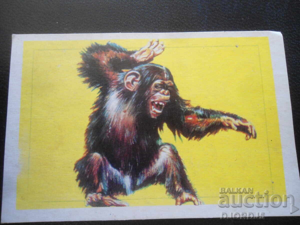 Old Bulgarian Calendar, 1988