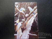 Παλιό βουλγαρικό ημερολόγιο, 1989