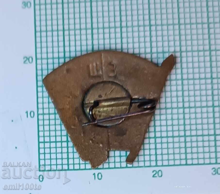 Παράδοση Σήμα - ΒΛΚΣΜ - μπρούτζινος σμάλτος