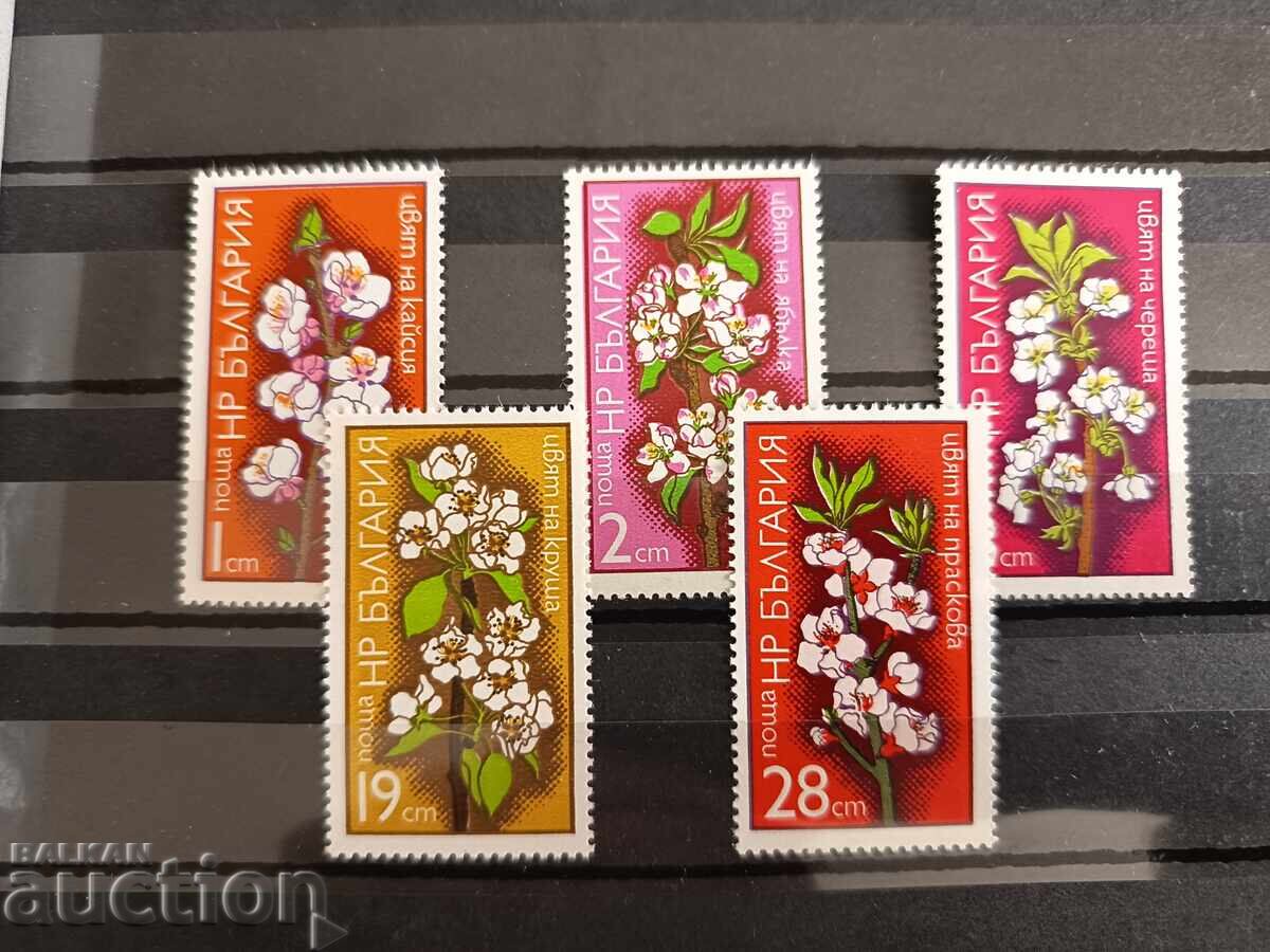 Colors of fruit trees No. 2449/53 1975 flowers Colors of fruit trees No. 2449/53 1975 flowers