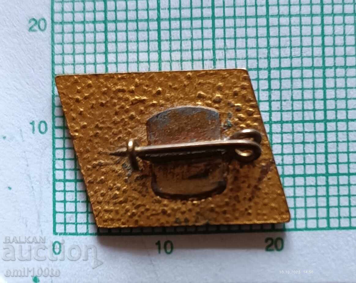 Значка- СБЖ Съюз на българските журналисти - 5