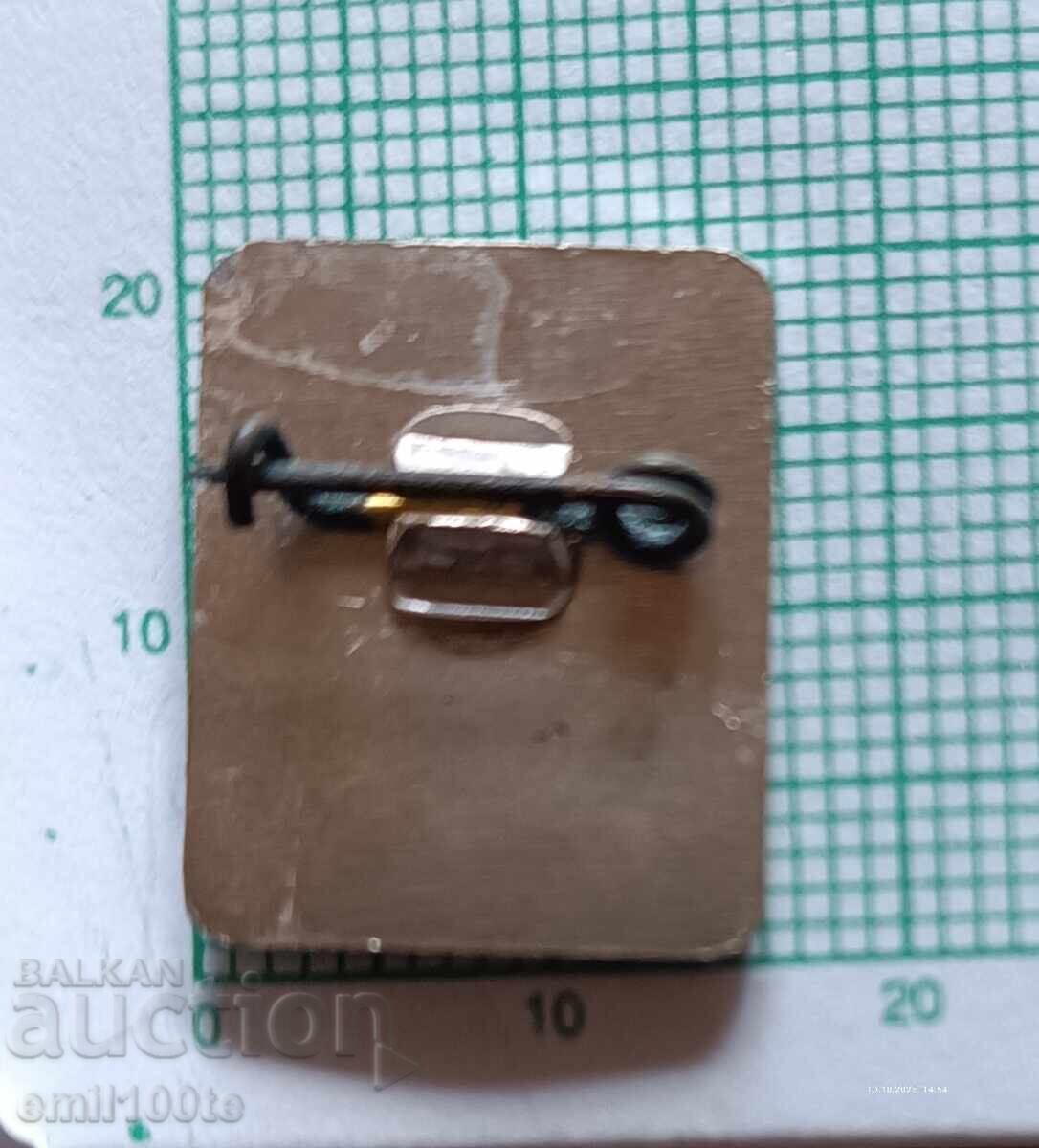 Insigna - Aleko Konstantinov cel norocos - 5