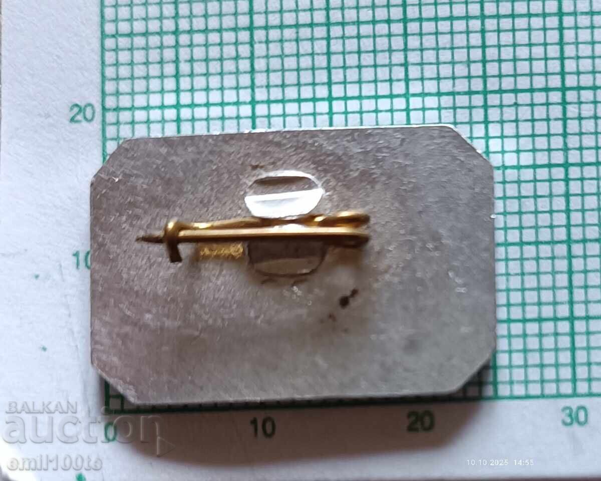 Delivery of Badge - Vidin Delivery of Badge - Vidin