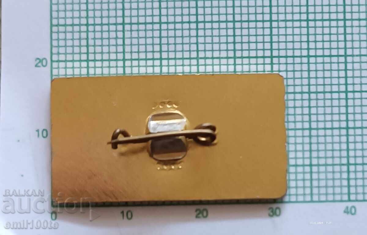 Delivery of Badge - Construction Troops Komsomol Report Before the Revolution