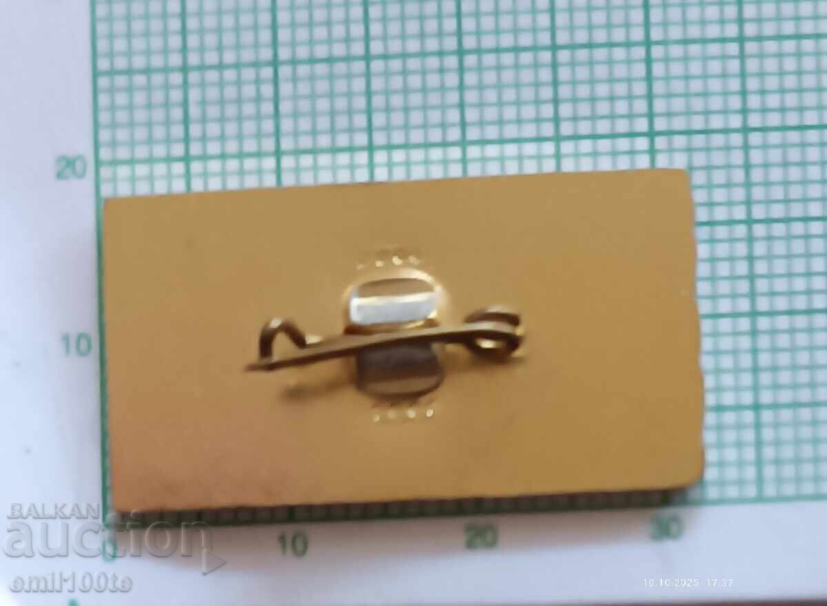 Emblemă - Trupele de Construcții Raportul Komsomolului în fața Revoluției - 5 Emblemă - Trupele de Construcții Raportul Komsomolului în fața Revoluției - 5