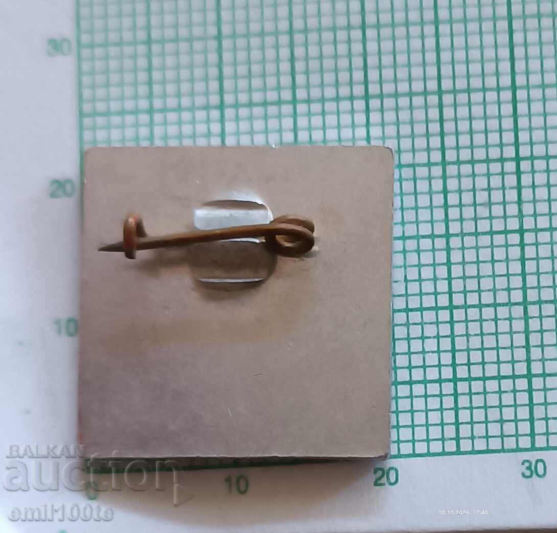 Delivery of Badge - Buzludzha House-Monument of the Party