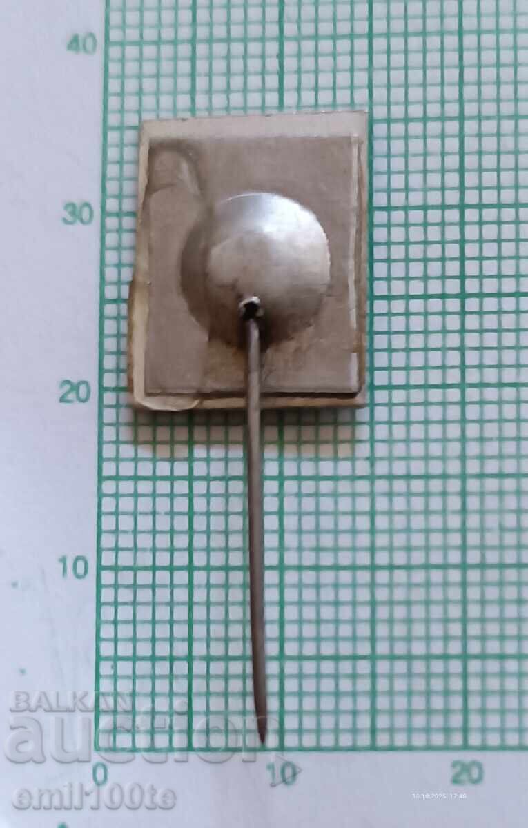 Delivery of Badge - First Congress of OSMA Yambol Delivery of Badge - First Congress of OSMA Yambol