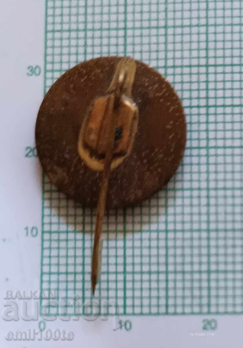 Delivery of Badge - Universiade Sofia 77 Delivery of Badge - Universiade Sofia 77