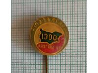 Σήμα- Κύπελλο Βουλγαρίας Προσανατολισμού Ράζγκραντ 81 - 1300 χρόνια