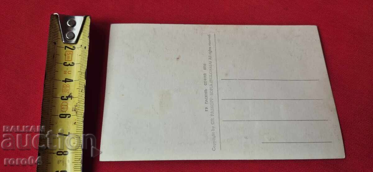 ΜΟΝΑΣΤΗΡΙ ΤΟΥ ΖΕΜΕΝ - 6