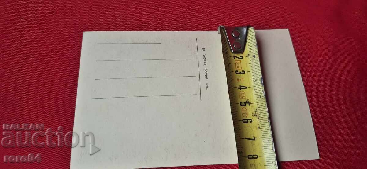 ΠΑΖΑΡΤΖΙΚ - 6