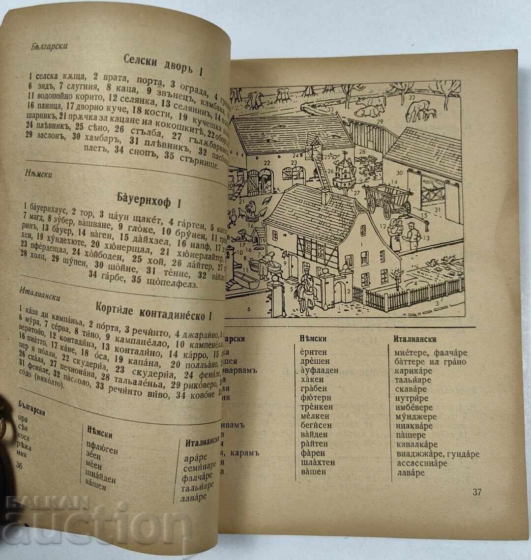 ΒΣΒ ΣΤΡΑΤΙΩΤΙΚΟ ΕΙΚΟΝΟΓΡΑΦΗΜΕΝΟ ΛΕΞΙΚΟ ΣΥΝΟΜΙΛΗΤΙΚΟ ΒΟΥΛΓΑΡΙΚΟ ΓΕΡΜΑΝΙΚΟ ΙΤΑΛΙΚΟ - 5 ΒΣΒ ΣΤΡΑΤΙΩΤΙΚΟ ΕΙΚΟΝΟΓΡΑΦΗΜΕΝΟ ΛΕΞΙΚΟ ΣΥΝΟΜΙΛΗΤΙΚΟ ΒΟΥΛΓΑΡΙΚΟ ΓΕΡΜΑΝΙΚΟ ΙΤΑΛΙΚΟ - 5