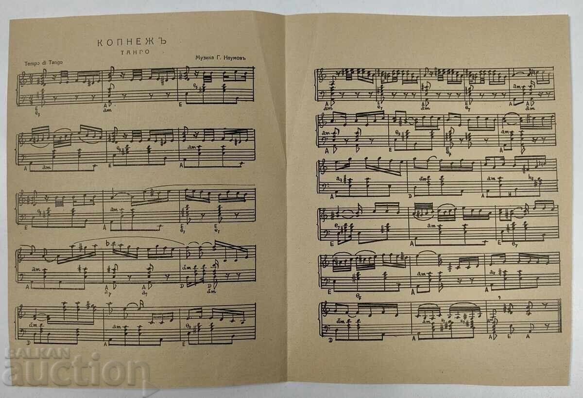 ΠΟΘΟΣ ΤΑΝΓΚΟ ΠΑΡΤΙΤΟΥΡΑ ΝΟΤΩΝ ΦΥΛΛΑ με τιμή 12.00 BGN | € 6.14