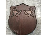 Placă pentru trofee