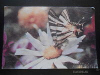 Παλιό βουλγαρικό ημερολόγιο, 1986