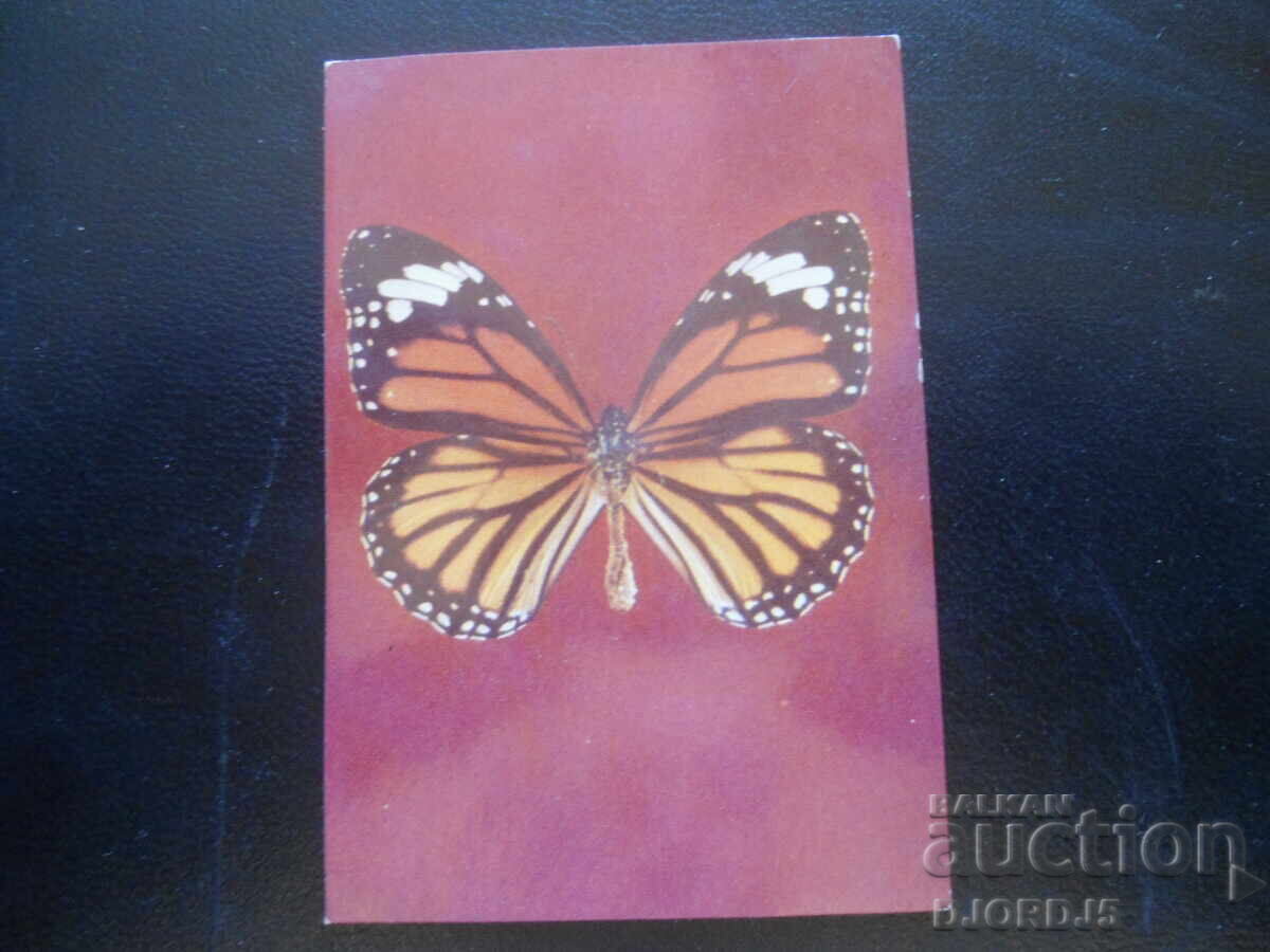 Old Bulgarian Calendar, 1985