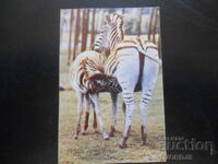 Old Bulgarian Calendar, 1989