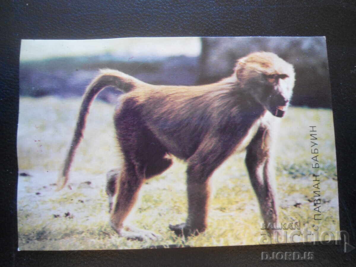 Calendar vechi bulgăresc, 1988