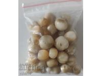 Mărgele din sidef, mătănii