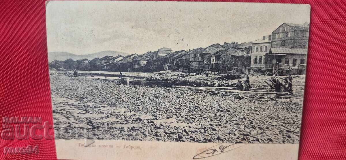 GABROVO με τιμή 55.00 BGN | € 28.12