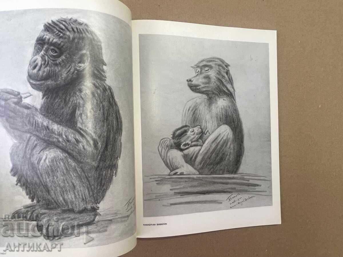 Βιβλίο μονογραφία ζωγράφου Αθανάσιου Τάσεφ WASHINGTON ZOO με τιμή 35.00 BGN | € 17.90