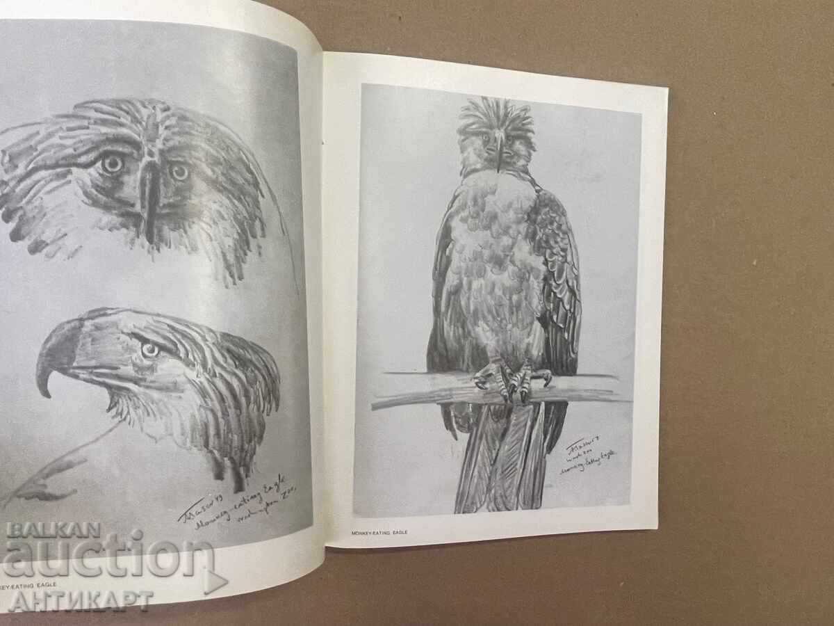 Licitație Carte monografie artist Atanas Tasev WASHINGTON ZOO