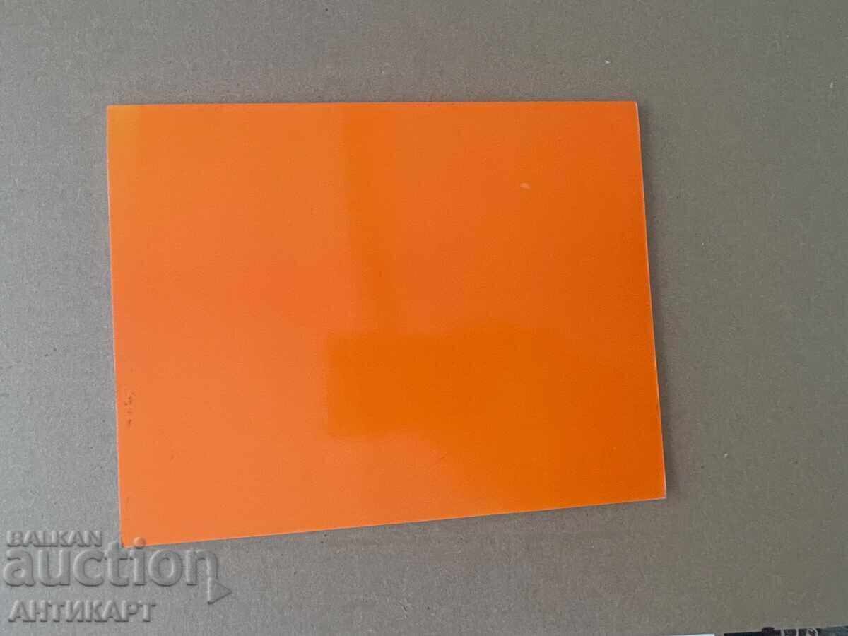 Βιβλίο μονογραφία ζωγράφου Αθανάσιου Τάσεφ WASHINGTON ZOO - 5