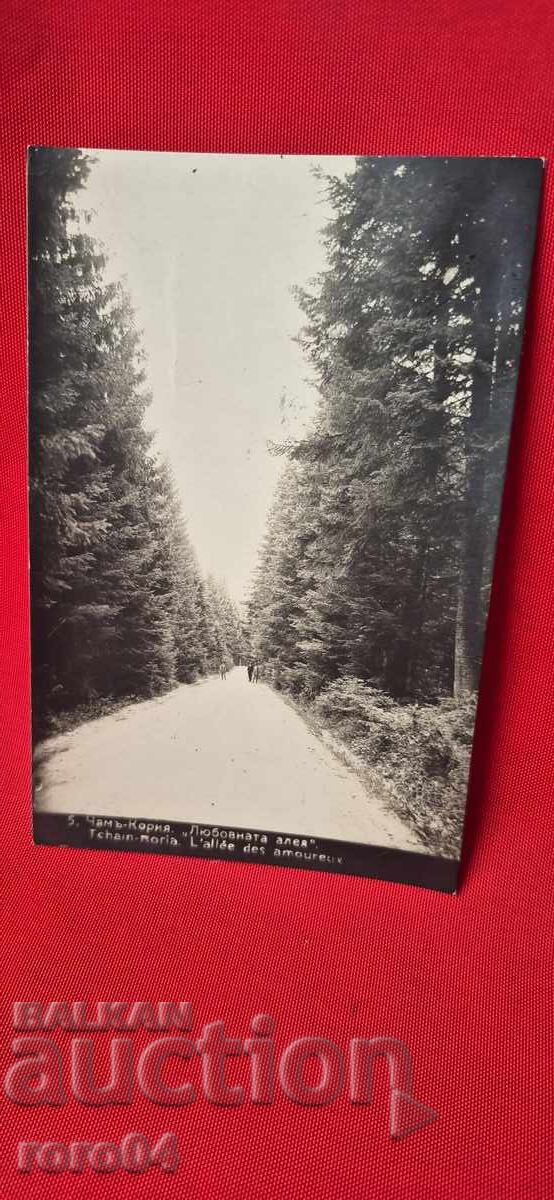 CHAMCORIA cu preț 35.00 BGN | € 17.90 CHAMCORIA cu preț 35.00 BGN | € 17.90