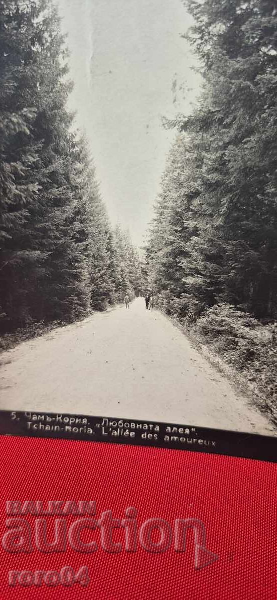 Licitație CHAMCORIA Licitație CHAMCORIA