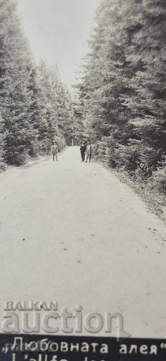 Livrarea CHAMCORIA Livrarea CHAMCORIA