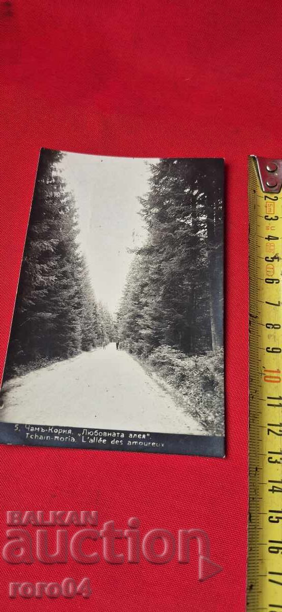 CHAMCORIA - 5 CHAMCORIA - 5