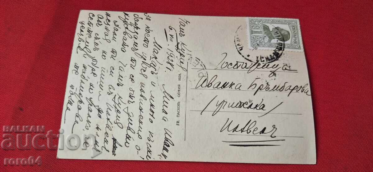 CHAMCORIA - 6 CHAMCORIA - 6