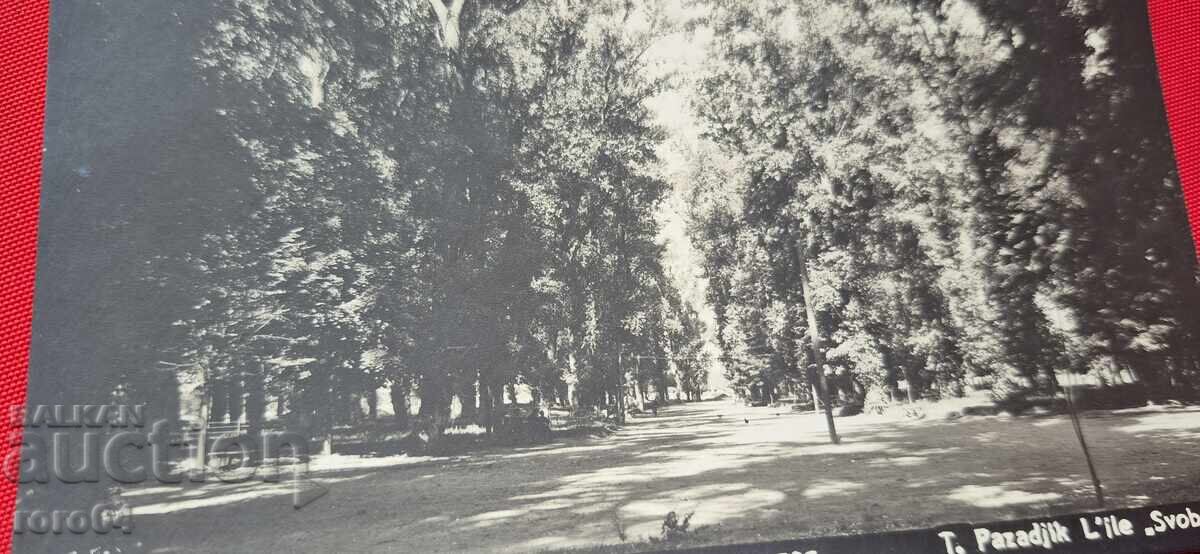 Δημοπρασία ΠΑΖΑΡΤΖΙΚ