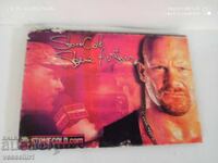 Стари стикери с кечисти 8 броя леденият 3те хикса Кърт енгъл