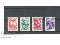 Fruits - Part One 1956