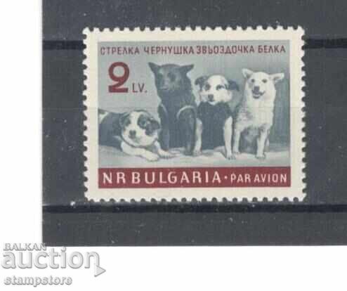 Αστροναύτες της Κουέτας Αστροναύτες της Κουέτας