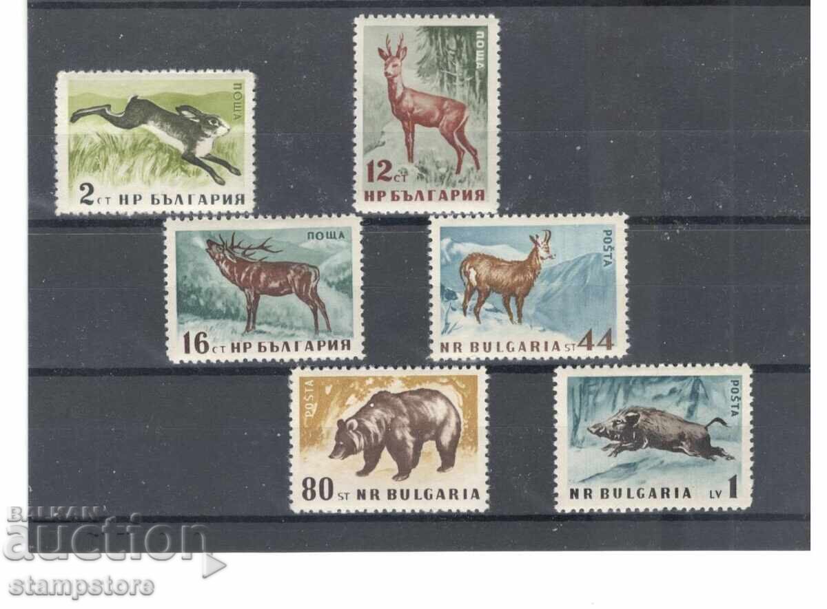 Game - serrated 1958