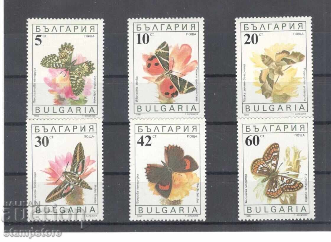 Βουλγαρία - Πεταλούδες