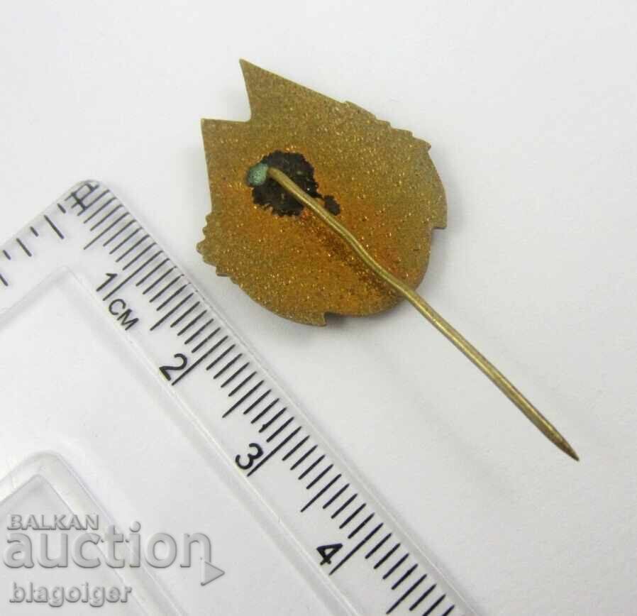 Доставка на БТС СОФИЯ 1899-Д-ВО АЛЕКО-Стара емайлирана значка