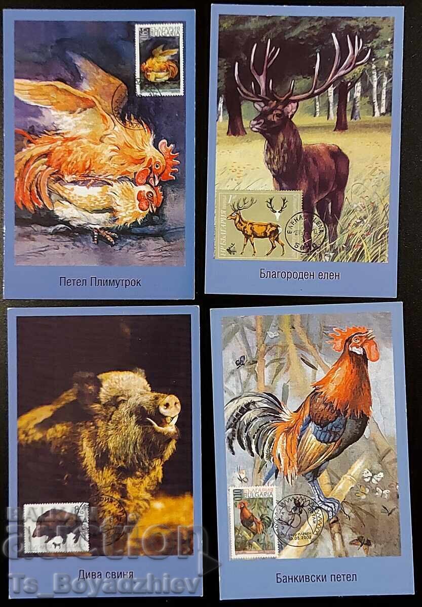 Φιλοτελικά ημερολόγια, 2012 με τιμή € 5.00 | 9.78 BGN Φιλοτελικά ημερολόγια, 2012 με τιμή € 5.00 | 9.78 BGN