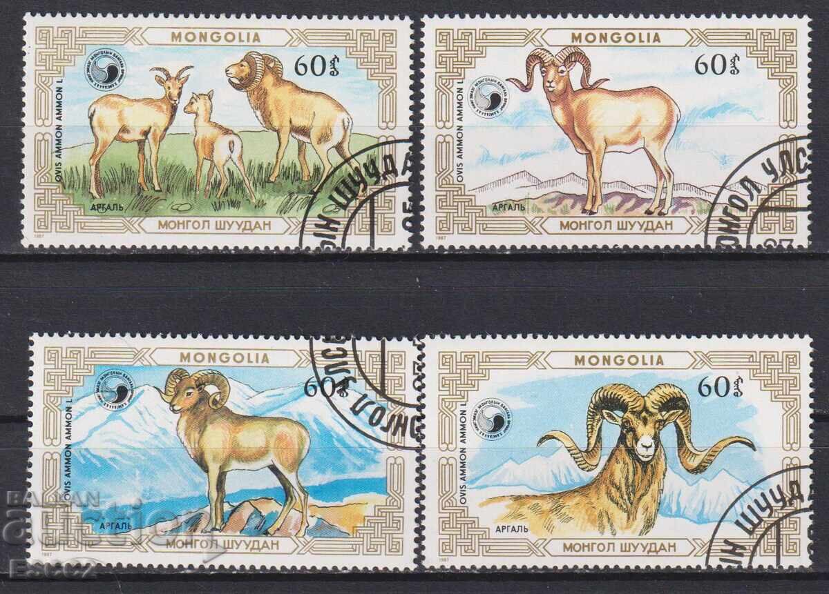 Cancelled stamps Fauna Argali 1987 from Mongolia Cancelled stamps Fauna Argali 1987 from Mongolia