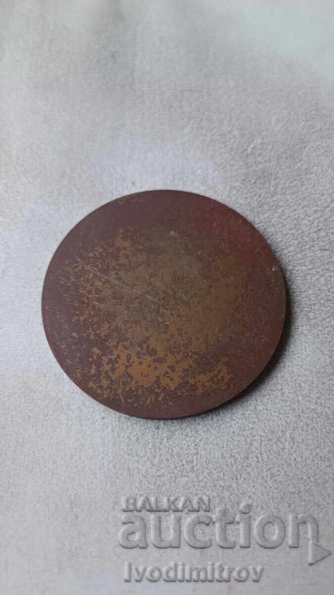 Plaque 100 Years of Tennis in Bulgaria 1896 - 1996 with price 27.00 BGN | € 13.80