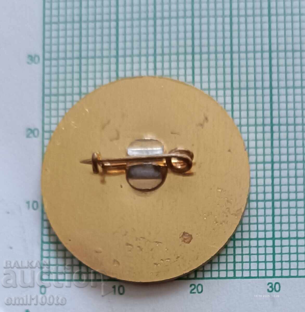 Delivery of Badge - 20 years NVO Initial military training