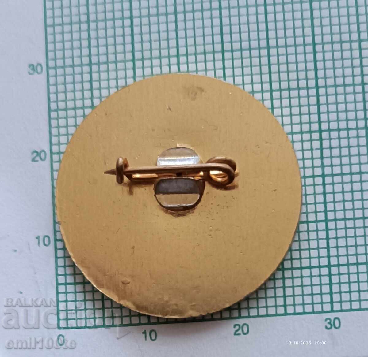 Доставка на Значка- 20 години НВО Начално военно обучение