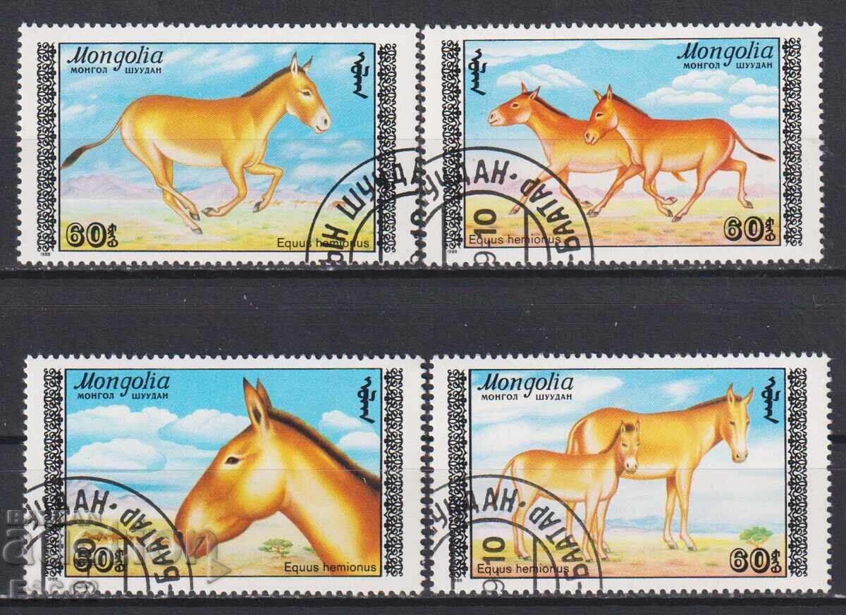 Timbre timbrate Fauna Kulani Magareta 1988 din Mongolia Timbre timbrate Fauna Kulani Magareta 1988 din Mongolia