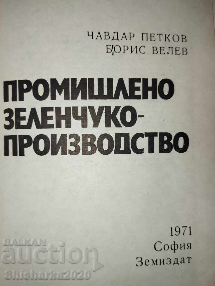 Auction  Industrial Vegetable Production