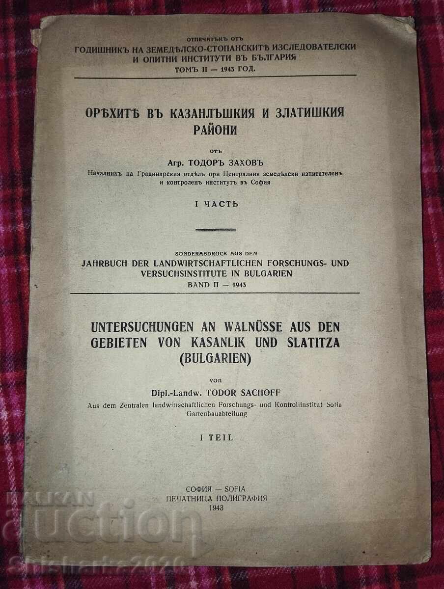 Orekhi στα καζανλάκ και στην περιοχή Ζλάτιτσα Orekhi στα καζανλάκ και στην περιοχή Ζλάτιτσα