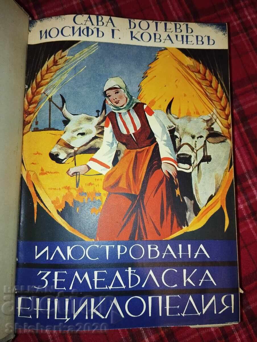 Δημοπρασία Εικονογραφημένη Γεωργική Εγκυκλοπαίδεια - Τόμος 1 Δημοπρασία Εικονογραφημένη Γεωργική Εγκυκλοπαίδεια - Τόμος 1